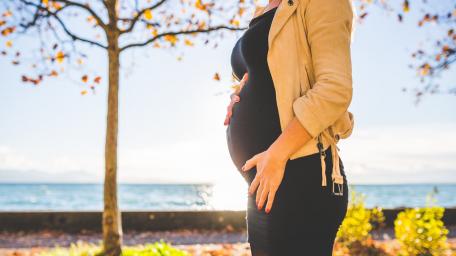 Golden Autumn Maternity Glow wallpaper