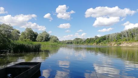 Serene River Under Blue Skies with Fluffy Clouds wallpaper