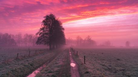 Misty Sunrise Over Pastoral Landscape wallpaper