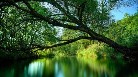 Tranquil Riverside Repose wallpaper