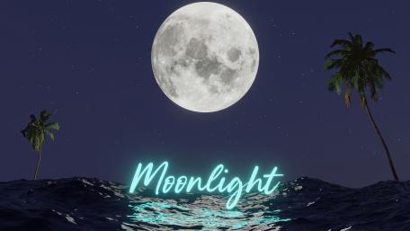 Moonlit Tropic Serenity wallpaper