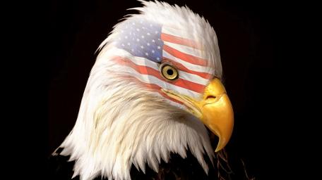Majestic Eagle Emblazoned With American Flag wallpaper
