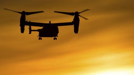 Golden Flight At Dusk wallpaper