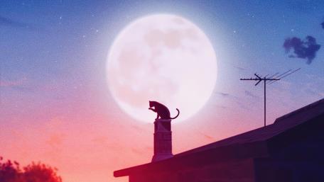 Majestic Cat Silhouette Under the Moonlight wallpaper