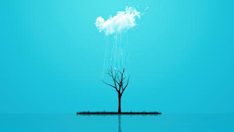 Raincloud Tree Illusion wallpaper