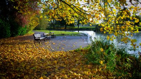 Autumn Serenity at the Lakeside wallpaper