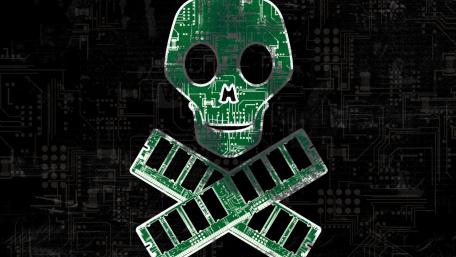 Digital Skull and Crossbones Cyber Threat Symbol wallpaper