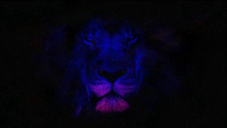 Majestic Neon Lion in the Shadows wallpaper
