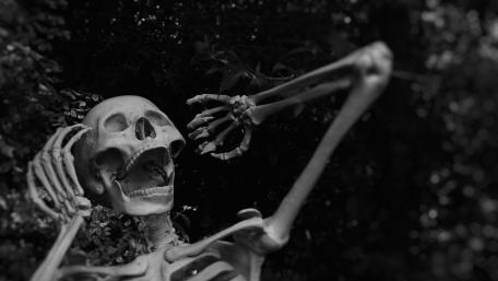 Whispers from the Skeleton Garden wallpaper