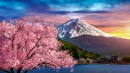 Majestic Mount Fuji and Cherry Blossoms from Lake Kawaguchi wallpaper
