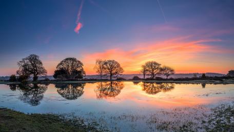 Serene Lakeside Dawn wallpaper