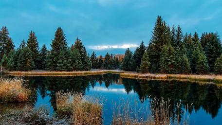 Tranquil Forest Reflection wallpaper