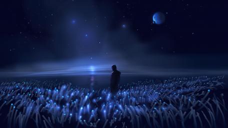 Stargazer's Tranquil Night wallpaper