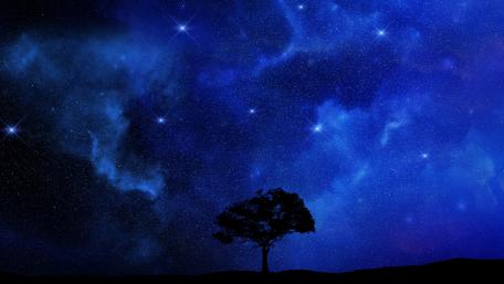 Starry Night Silhouette wallpaper