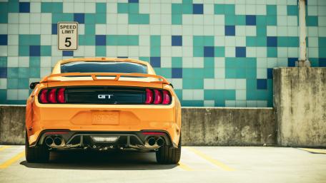 Urban Mustang Pride wallpaper