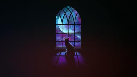 Mystical Feline at the Cosmic Window wallpaper