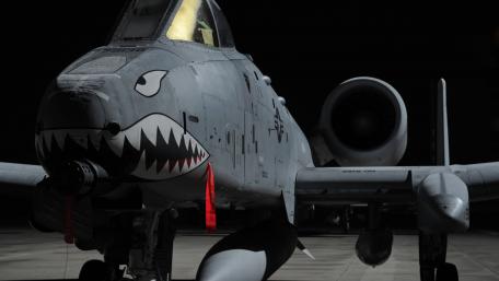 Mighty Warthog in the Shadows wallpaper