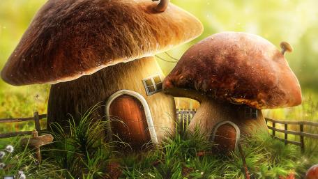 Enchanted Mushroom Cottage Retreat wallpaper
