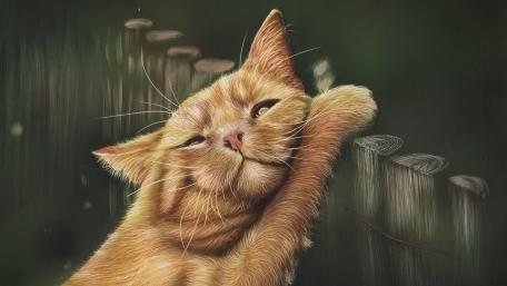 Ginger Cat's Whimsical Daydream wallpaper