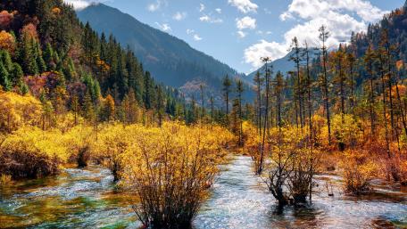 Autumn Splendor in Jiuzhaigou Valley wallpaper