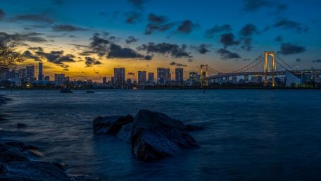 Tokyo Twilight Dreamscape wallpaper