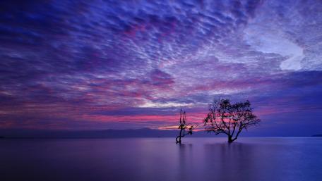 Serenity at Twilight wallpaper