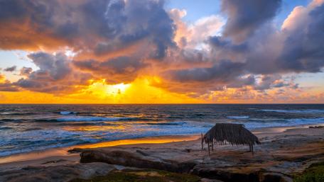 Golden Sunset by the Seaside wallpaper