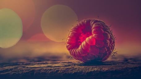 Crimson Raspberry Dreamscape wallpaper