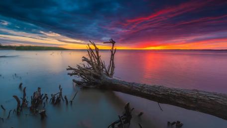 Sunset Serenity at the Water's Edge wallpaper