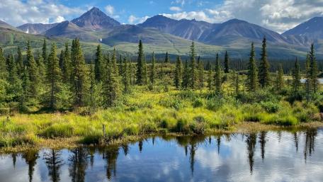 Majestic Denali Reflection in Alaskan Wilderness wallpaper