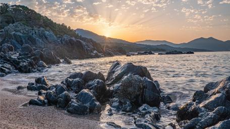 Golden Hour Seaside Serenity wallpaper