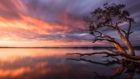 Sunset Serenity at Lake Weyba wallpaper