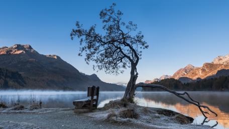 Serenity at Lakeside Dawn wallpaper
