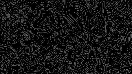 Black and White Topographic Complexity wallpaper