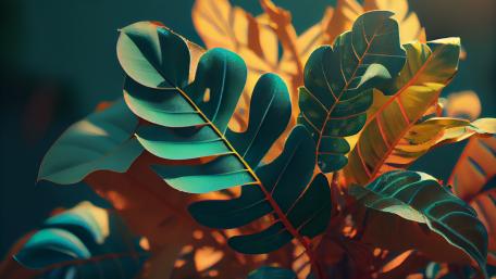 Autumn Whispers in Plant Silhouettes wallpaper