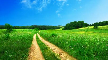 Serene Spring Meadow Pathway wallpaper