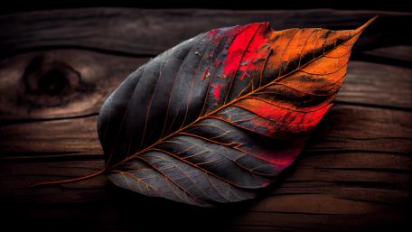 Autumn Veins in Sharp Relief wallpaper