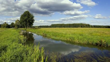 Serene River Beside Lush Grasslands and Blue Sky wallpaper