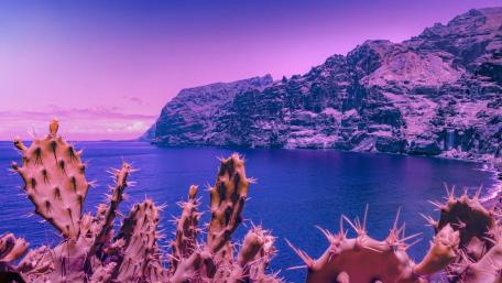 Majestic Purple Cliffside by the Sea wallpaper