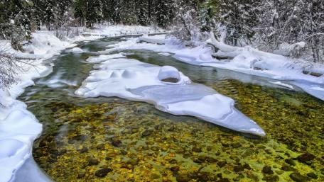 Winter's Riparian Serenity wallpaper