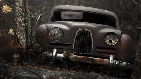 Forgotten Elegance in Rustic Decay wallpaper