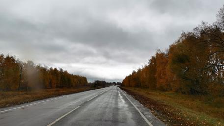 Autumn Road Beneath Overcast Skies wallpaper