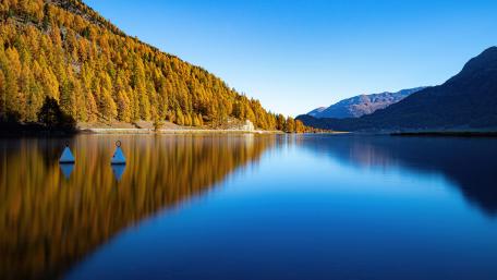 Autumn Bliss by the Lakeside wallpaper
