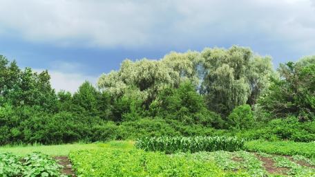 Lush Green Landscape Under Dramatic Skies wallpaper
