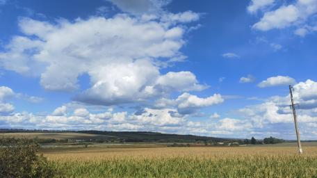 Vibrant Sky Over Golden Fields wallpaper