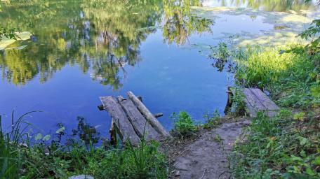 Tranquil Lakeside Retreat for Nature Lovers wallpaper