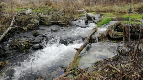 Tranquil Stream Embraced by Nature's Beauty wallpaper