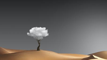 Serene Oasis of Solitude wallpaper