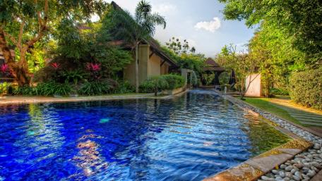 Tropical Oasis by the Poolside wallpaper