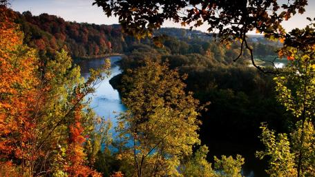 Autumn Serenity at Homer Watson Park wallpaper